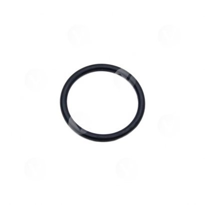 Кольцо RT-5268 (O-Ring) поз.29